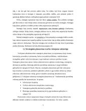 Strateginio planavimo charakteristikos viešajame sektoriuje: Slovėnija 3 puslapis