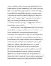 Strateginio planavimo charakteristikos viešajame sektoriuje: Slovėnija 4 puslapis