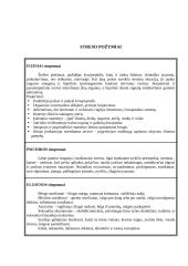 Stresas, jo priežastys  5 puslapis