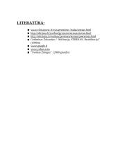 Stresas, jo priežastys  8 puslapis