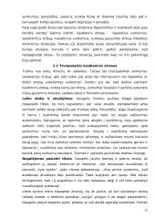 Streso poveikis žmonių kasdieniame gyvenime 12 puslapis