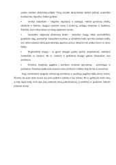 Stresas, kas jį sukelia, jo požymiai bei ypatybės 7 puslapis