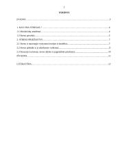 Stresas ir streso priežastys 2 puslapis