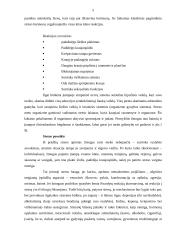 Stresas ir streso priežastys 5 puslapis