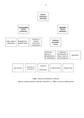 Stresas ir streso priežastys 9 puslapis