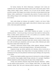Suaugusio ir senstančio žmogaus raidos ypatybės 13 puslapis
