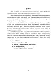 Suaugusio ir senstančio žmogaus raidos ypatybės 3 puslapis