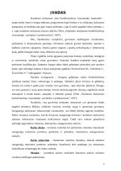 Suaugusiųjų mokymosi prielaidos 3 puslapis