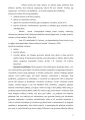 Suaugusiųjų mokymosi prielaidos 5 puslapis