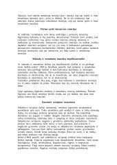 Subjektyvi emocinė savijauta 2 puslapis