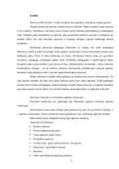 Šeima kaip ugdymo institucija 2 puslapis