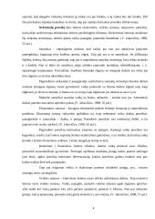 Šeima kaip ugdymo institucija 4 puslapis