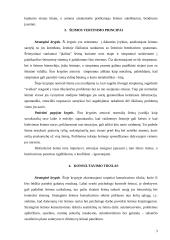 Šeimos konsultavimo modeliai 4 puslapis