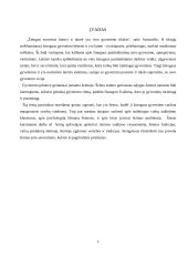 Šeimos svarba vaiko socializacijai 3 puslapis