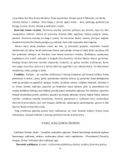Šeimos svarba vaiko socializacijai 9 puslapis