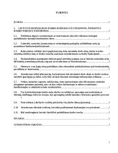 Šiurkščių darbo pareigų pažeidimų atvejai