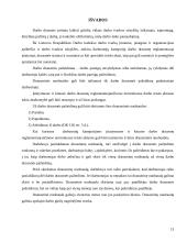 Šiurkščių darbo pareigų pažeidimų atvejai 12 puslapis