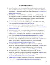 Šiurkščių darbo pareigų pažeidimų atvejai 13 puslapis