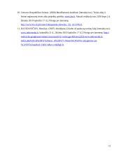 Šiurkščių darbo pareigų pažeidimų atvejai 14 puslapis