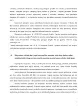 Šiurkščių darbo pareigų pažeidimų atvejai 6 puslapis