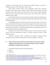 Šiurkščių darbo pareigų pažeidimų atvejai 9 puslapis