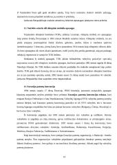 Tarptautinės patentinės sutartys 13 puslapis