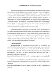 Tarptautinės patentinės sutartys 3 puslapis