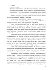 Teisinio santykio požymiai 7 puslapis