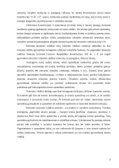 Teisinio santykio požymiai 8 puslapis