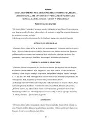 Televizorius, kompiuteris ir žmogus 17 puslapis