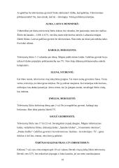 Televizorius, kompiuteris ir žmogus 18 puslapis