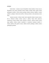 Terminų reikšmė civilinėje teisėje 3 puslapis