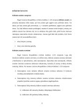 Terminų reikšmė civilinėje teisėje 9 puslapis