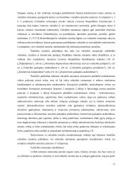 Valstybės tarnautojų tarnybinė (drausminė) atsakomybė 11 puslapis