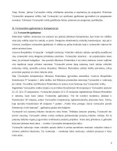 Vyriausybės formavimas bei jos įgaliojimai ir kompetencija 6 puslapis