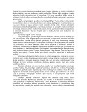 Analizė ir interpretacija: Balys Sruoga „Milžino paunksmė“ 2 puslapis