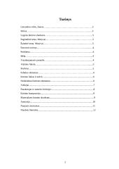 E.M. Remarkas "Juodasis obeliskas" 2 puslapis