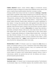 E.M. Remarkas "Juodasis obeliskas" 6 puslapis