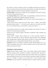 E.M. Remarkas "Juodasis obeliskas" 8 puslapis