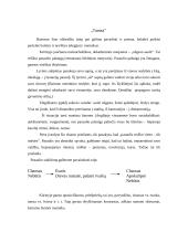 Elegiškumas romantikų kūryboje 14 puslapis