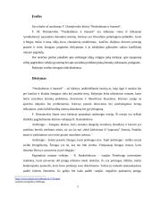 F. Dostojevskio kūrinio "Nusikaltimas ir bausmė" analizė 2 puslapis