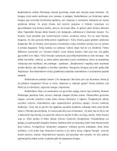 F. Dostojevskio kūrinio "Nusikaltimas ir bausmė" analizė 3 puslapis