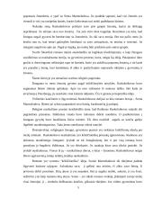 F. Dostojevskio kūrinio "Nusikaltimas ir bausmė" analizė 5 puslapis