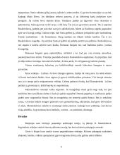 F. Dostojevskio kūrinio "Nusikaltimas ir bausmė" analizė 6 puslapis