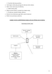 Įmonės analizė: juodųjų metalų, elektros kabelių ir laidų prekyba UAB "Severmeta" 13 puslapis