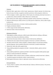 Įmonės analizė: juodųjų metalų, elektros kabelių ir laidų prekyba UAB "Severmeta" 4 puslapis