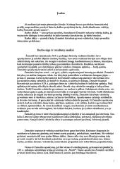 Individualizuota veikėjų kalba Žemaitės apsakymuose 2 puslapis