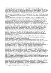 K. Donelaitis. "Metų" stilius 2 puslapis