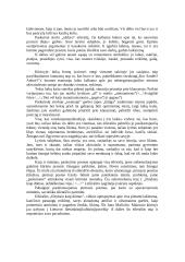 Maironio "Išnyksiu kaip dūmas" analizė 3 puslapis