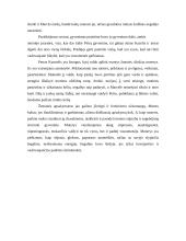 Moters kultas Žemaitės apsakyme "Petras Kurmelis" 5 puslapis